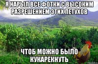 я нарыл все фотки с высоким разрешением этих петухов чтоб можно было кукарекнуть