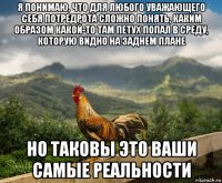 я понимаю, что для любого уважающего себя потредрота сложно понять, каким образом какой-то там петух попал в среду, которую видно на заднем плане но таковы это ваши самые реальности