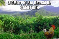 я смотрю вы петуха не заметили 