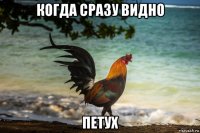 когда сразу видно петух