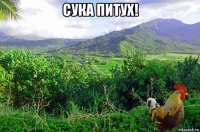 сука питух! 
