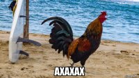  ахахах