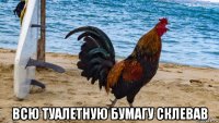  всю туалетную бумагу склевав