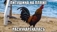 питушина на пляже раскукарекалась