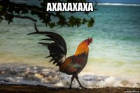 ахахахаха 