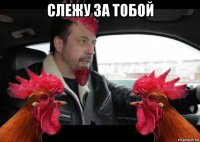 слежу за тобой 