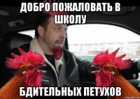 добро пожаловать в школу бдительных петухов