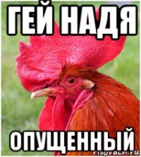 гей надя опущенный