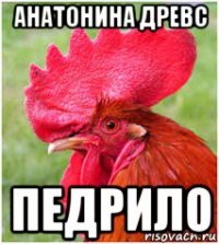 анатонина древс педрило