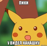 пики у видел какашку