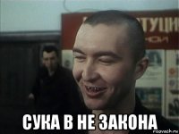  сука в не закона