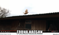  говна наебни