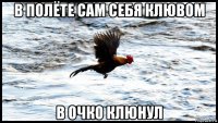 в полёте сам себя клювом в очко клюнул