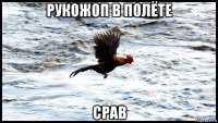 рукожоп в полёте срав
