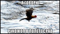 я говорю рукожоп в полёте срав