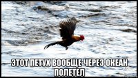  этот петух вообще через океан полетел