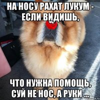 на носу рахат лукум - если видишь, что нужна помощь, суй не нос, а руки …