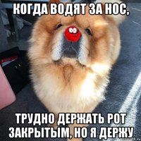 когда водят за нос, трудно держать рот закрытым, но я держу