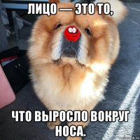 лицо — это то, что выросло вокруг носа.