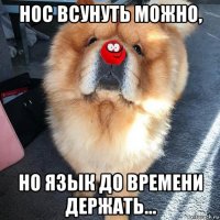 нос всунуть можно, но язык до времени держать…