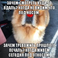 зачем смотреть куда-то вдаль? когда не видим что под носом. зачем тревожить прошлого печаль? когда живём сегодня под откосом.