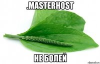 .masterhost не болей
