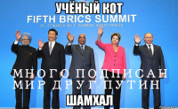 учёный кот шамхал
