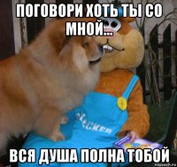 поговори хоть ты со мной... вся душа полна тобой