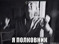  я полковник