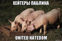 хейтеры паблика united hatedom