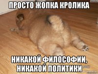 просто жопка кролика никакой философии, никакой политики