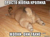просто жопка кролика жопки- они такие