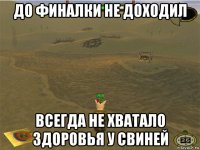 до финалки не доходил всегда не хватало здоровья у свиней