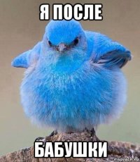 я после бабушки