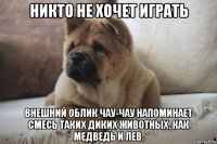 никто не хочет играть внешний облик чау-чау напоминает смесь таких диких животных, как медведь и лев.