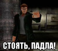 стоять, падла!