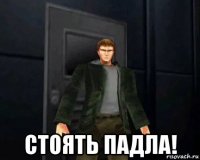  стоять падла!