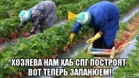  хозяева нам хаб спг построят. вот теперь запанюем!