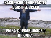 какое животное растет быстрее всех? рыба, сорвавшаяся с крючка.