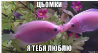 цьомки я тебя люблю