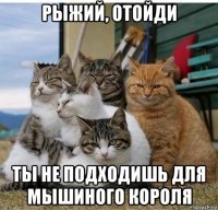 рыжий, отойди ты не подходишь для мышиного короля