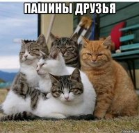 пашины друзья 