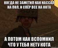когда не заметил как нассал на пол, и спёр все на кота а потом как вспомнил что у тебя нету кота
