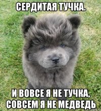 сердитая тучка. и вовсе я не тучка, совсем я не медведь