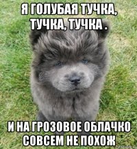 я голубая тучка, тучка, тучка . и на грозовое облачко совсем не похож