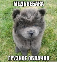 медьвебака грузное облачко