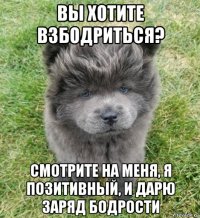 вы хотите взбодриться? смотрите на меня, я позитивный, и дарю заряд бодрости