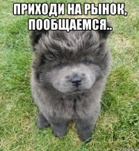 приходи на рынок, пообщаемся.. 