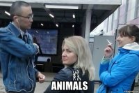  animals