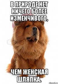 в природе нет ничего более изменчивого, чем женская шляпка.